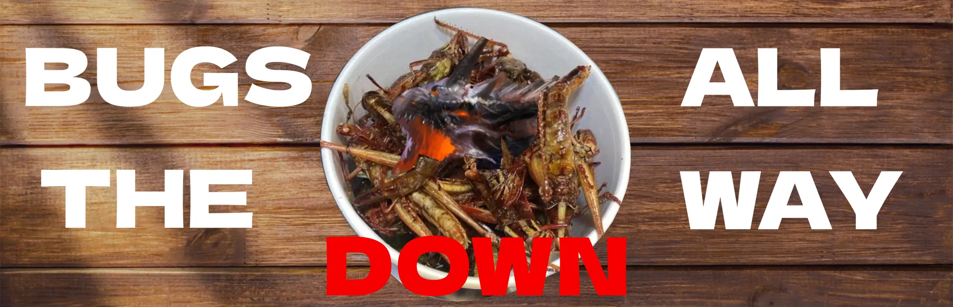 Bugs all the way down